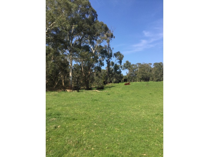 1187 Murrindindi Road, Murrindindi VIC 3717