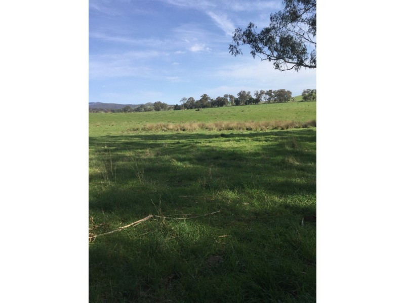 1187 Murrindindi Road, Murrindindi VIC 3717