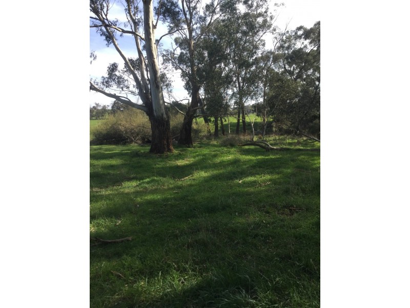 1187 Murrindindi Road, Murrindindi VIC 3717