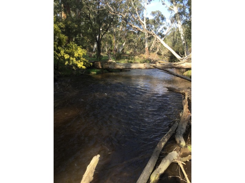 1187 Murrindindi Road, Murrindindi VIC 3717