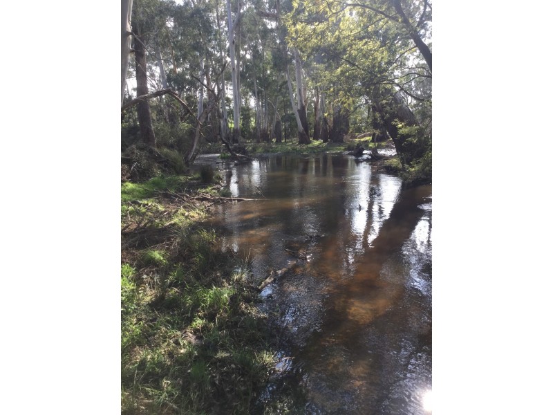 1187 Murrindindi Road, Murrindindi VIC 3717