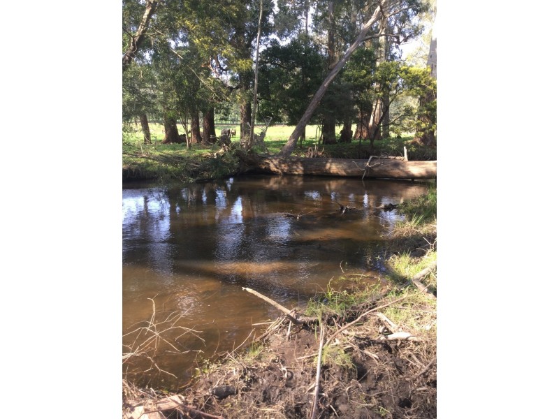 1187 Murrindindi Road, Murrindindi VIC 3717