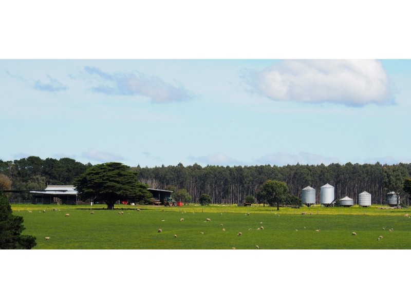 642 Murndal Road, Morgiana via, Hamilton VIC 3300