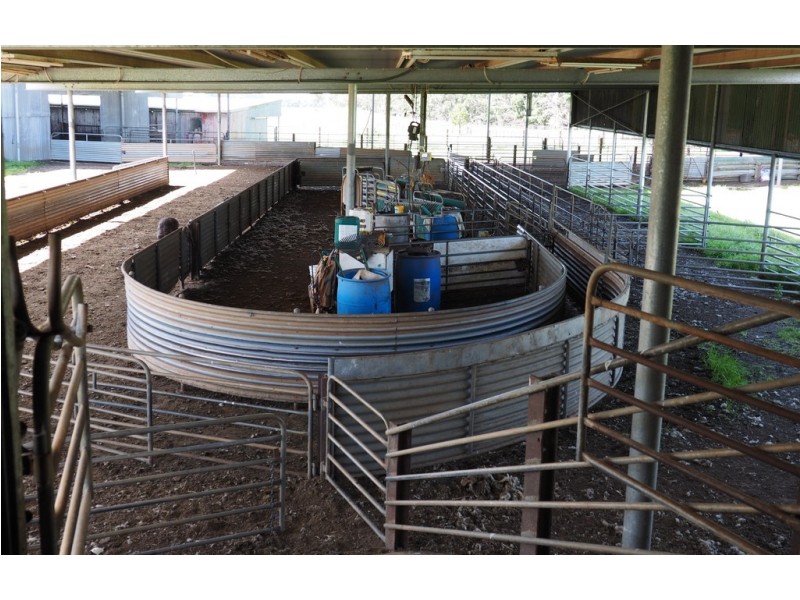 642 Murndal Road, Morgiana via, Hamilton VIC 3300