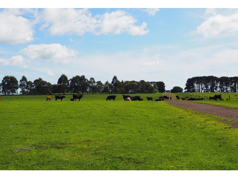 642 Murndal Road, Morgiana via, Hamilton VIC 3300