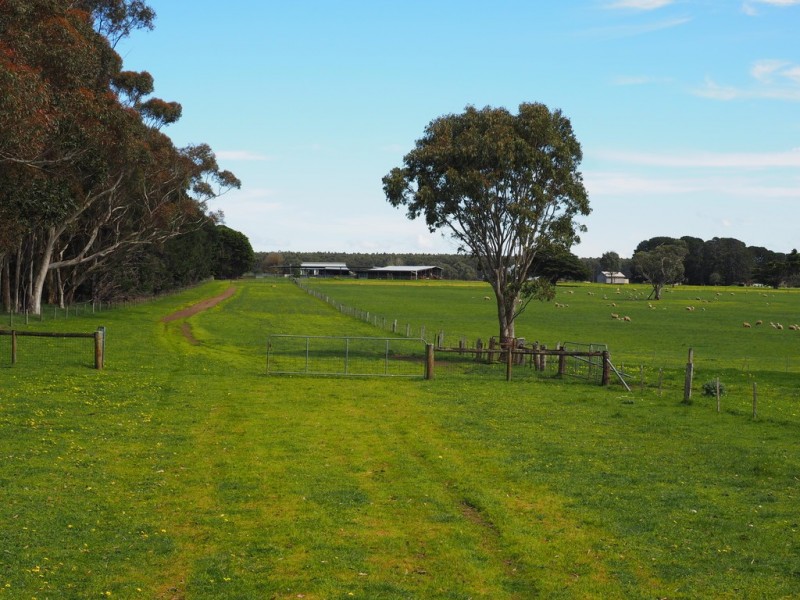 642 Murndal Road, Morgiana via, Hamilton VIC 3300