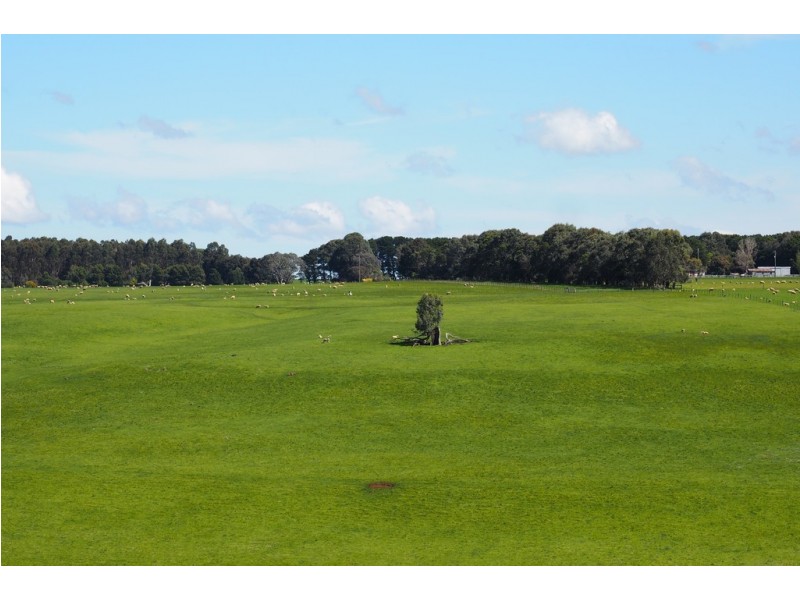 642 Murndal Road, Morgiana via, Hamilton VIC 3300