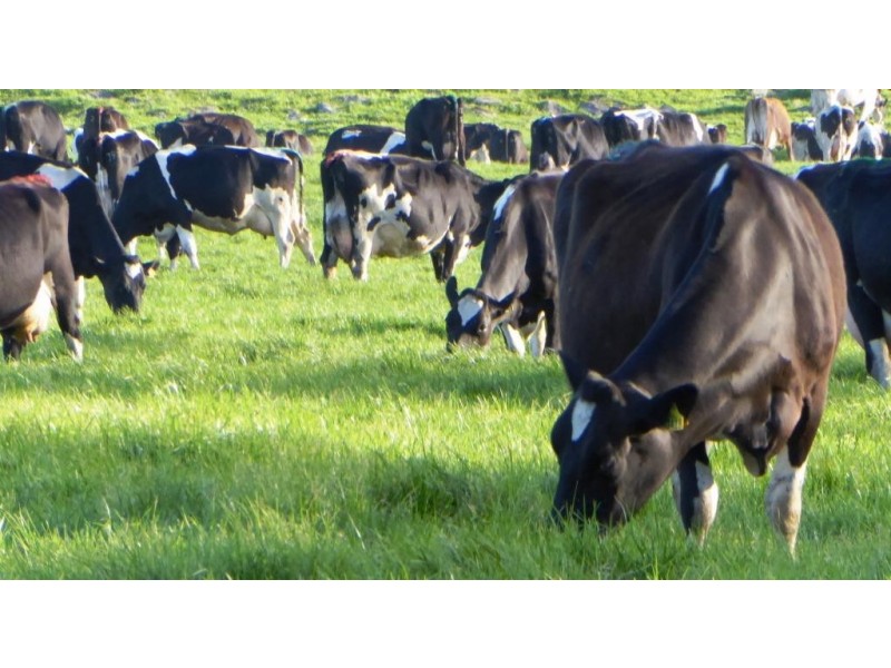 261 Farys Road, Panmure VIC 3265