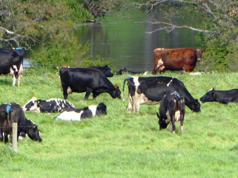 261 Farys Road, Panmure VIC 3265