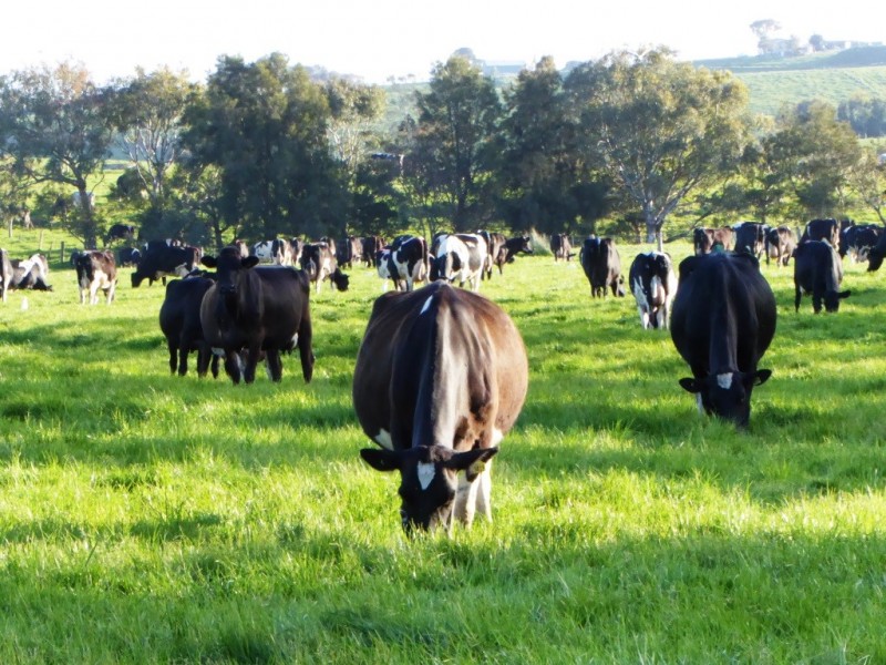 261 Farys Road, Panmure VIC 3265