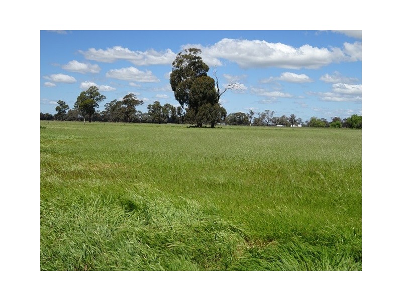 89 Lady Augusta Road, Echuca VIC 3564