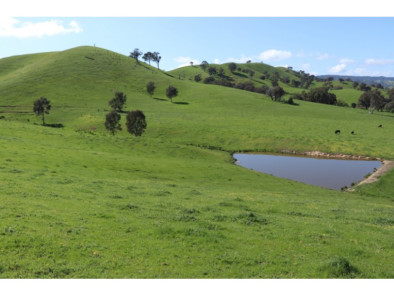 239 Murrindindi Road, Murrindindi VIC 3717