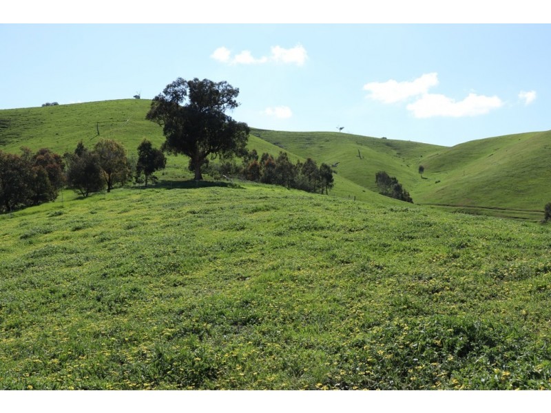 239 Murrindindi Road, Murrindindi VIC 3717