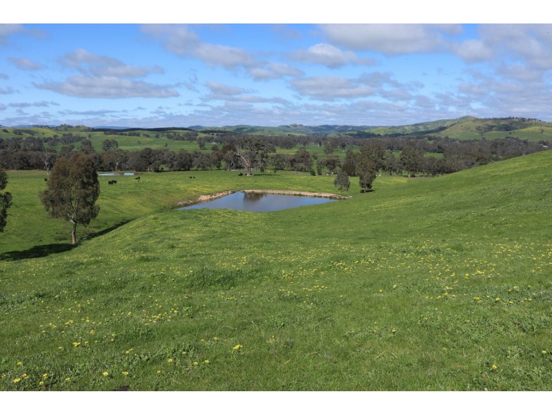 239 Murrindindi Road, Murrindindi VIC 3717