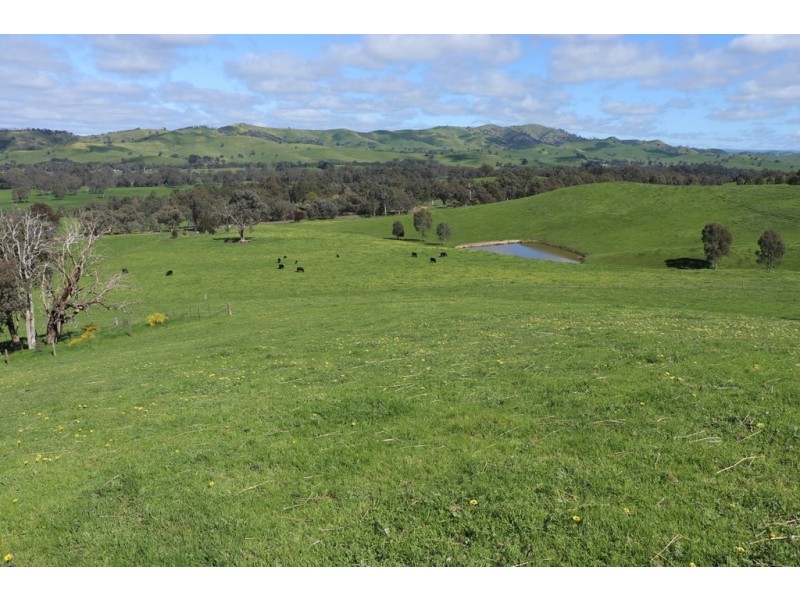 239 Murrindindi Road, Murrindindi VIC 3717