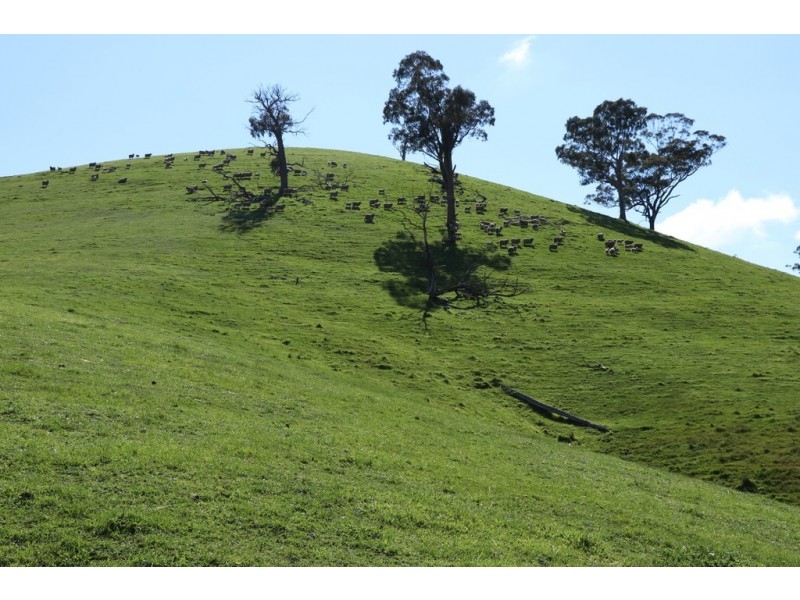 239 Murrindindi Road, Murrindindi VIC 3717