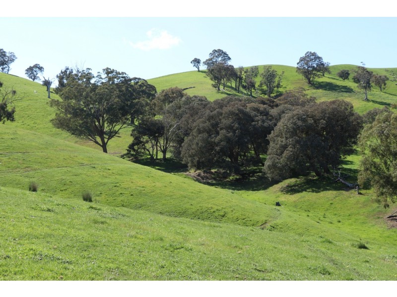 239 Murrindindi Road, Murrindindi VIC 3717