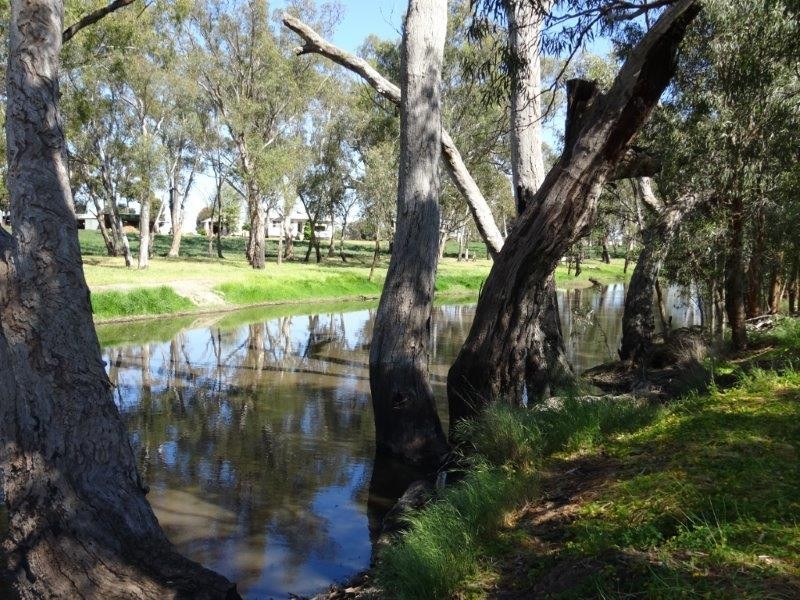 84 Matheson Road, Echuca VIC 3564