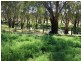 84 Matheson Road, Echuca VIC 3564