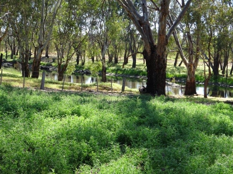 84 Matheson Road, Echuca VIC 3564