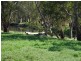 84 Matheson Road, Echuca VIC 3564