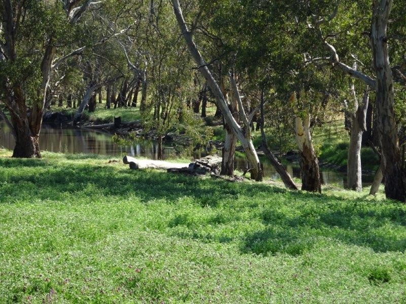 84 Matheson Road, Echuca VIC 3564
