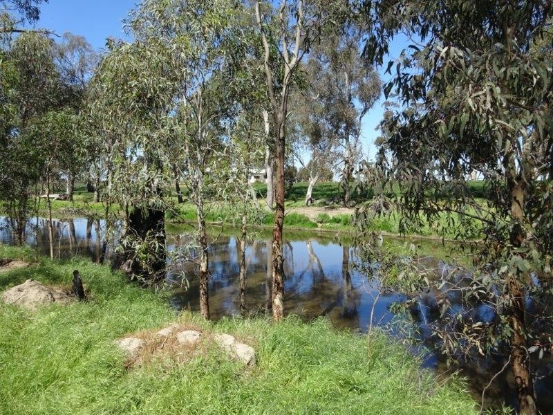 84 Matheson Road, Echuca VIC 3564