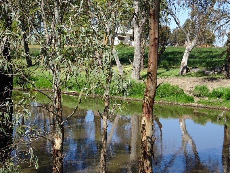 84 Matheson Road, Echuca VIC 3564
