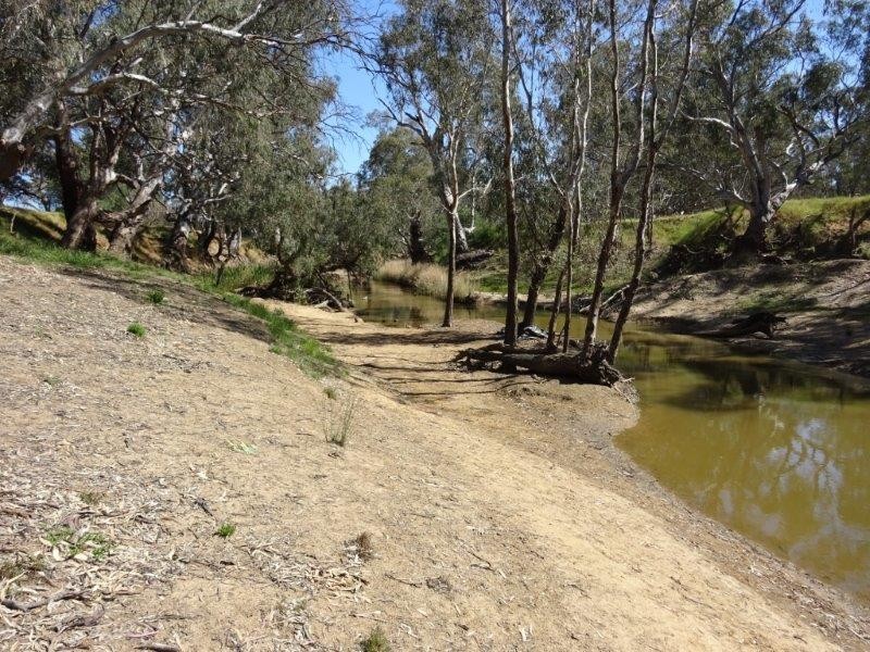 84 Matheson Road, Echuca VIC 3564