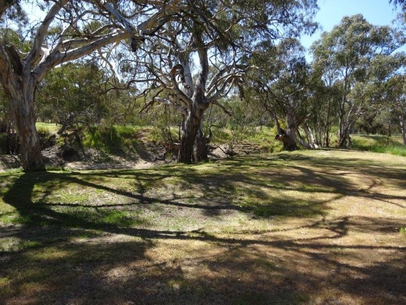 84 Matheson Road, Echuca VIC 3564