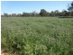 84 Matheson Road, Echuca VIC 3564