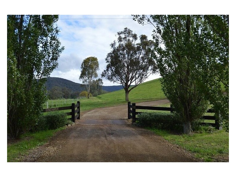 911 Whanregarwen Road, Alexandra VIC 3714