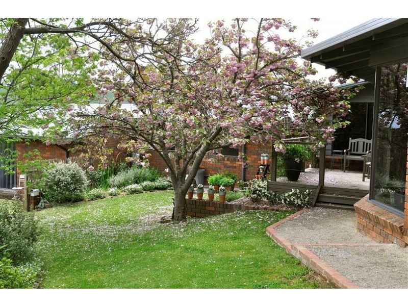 911 Whanregarwen Road, Alexandra VIC 3714