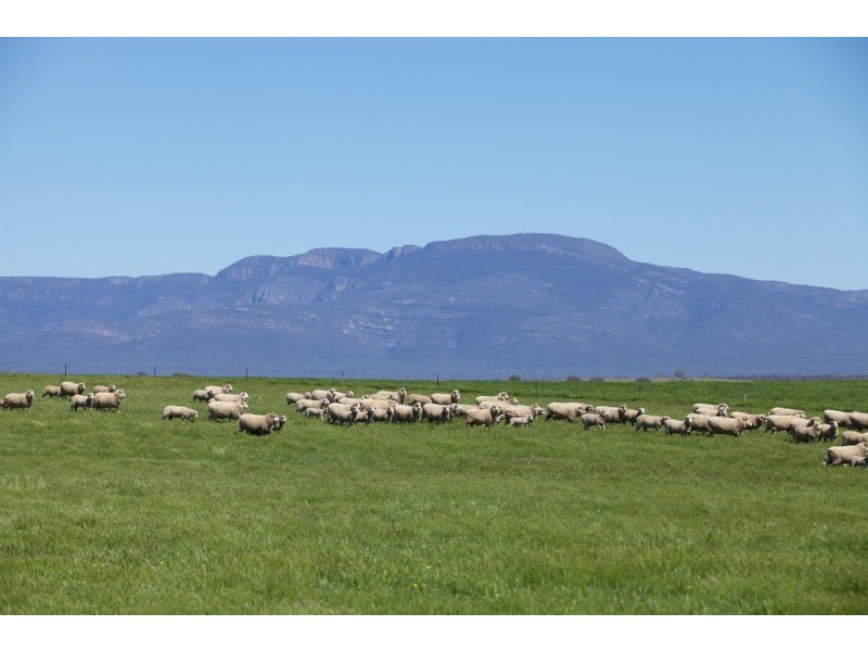 274 Moyston-Great Western Road, Moyston VIC 3377