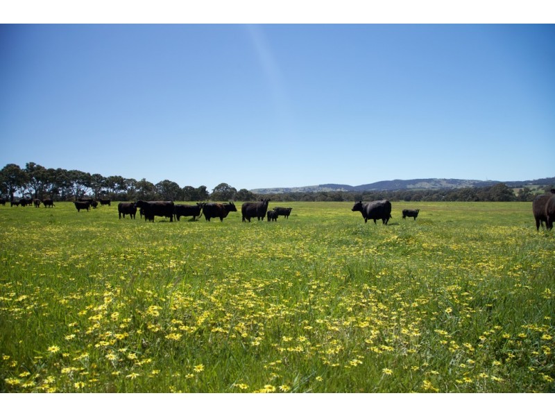 274 Moyston-Great Western Road, Moyston VIC 3377