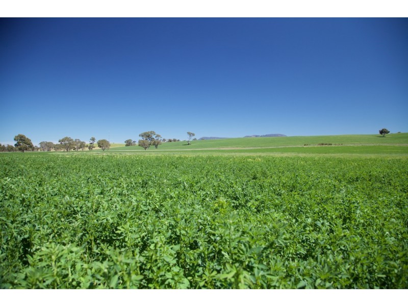 274 Moyston-Great Western Road, Moyston VIC 3377