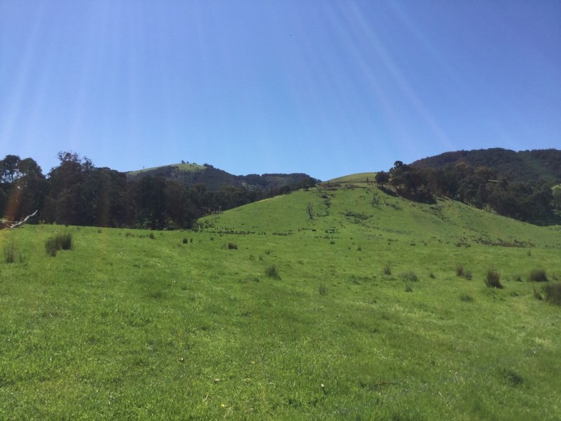 Part 325 Switzerland Road, Ghin Ghin VIC 3717