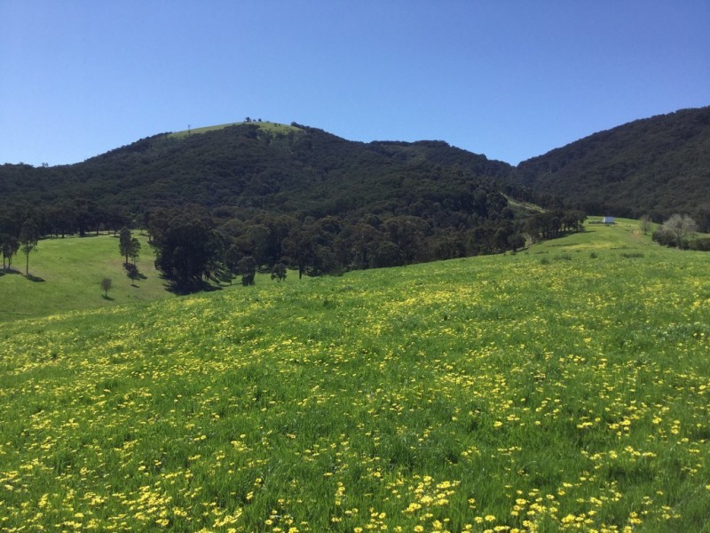 Part 325 Switzerland Road, Ghin Ghin VIC 3717