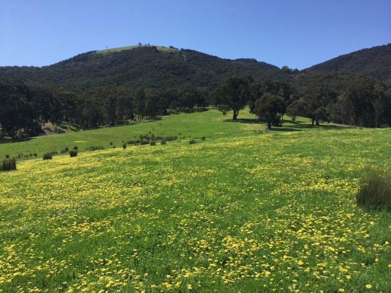 Part 325 Switzerland Road, Ghin Ghin VIC 3717