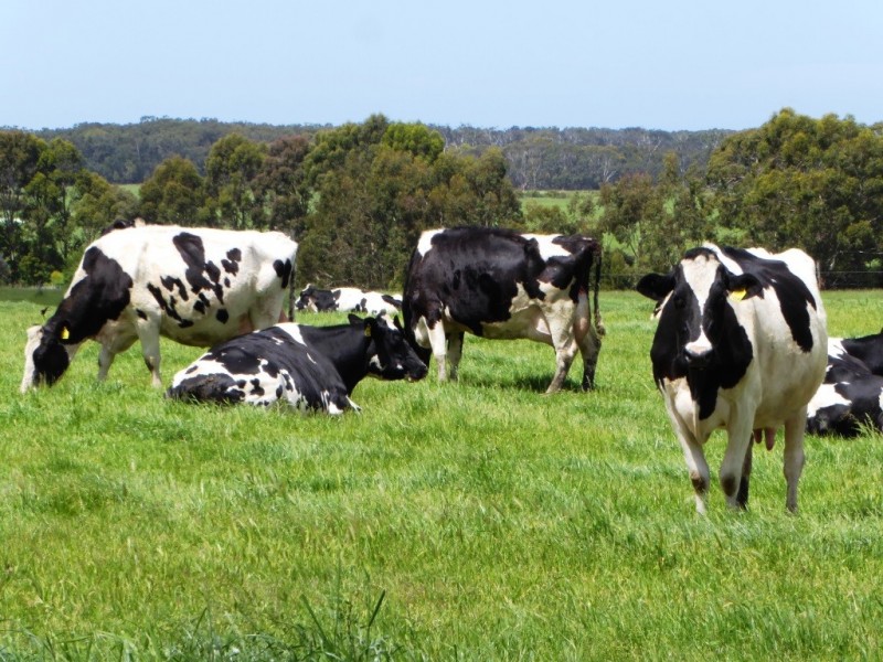 130 and 138 Rooneys Road, Panmure VIC 3265