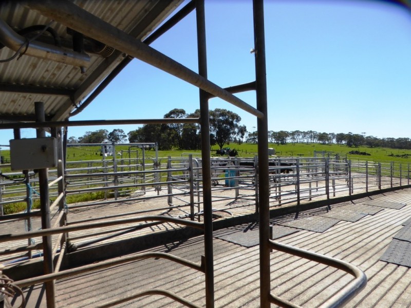 130 and 138 Rooneys Road, Panmure VIC 3265