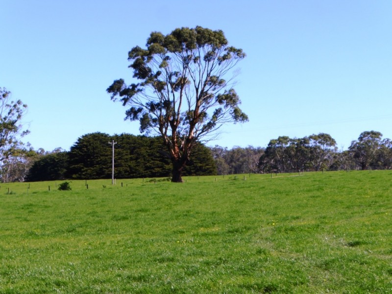 130 and 138 Rooneys Road, Panmure VIC 3265