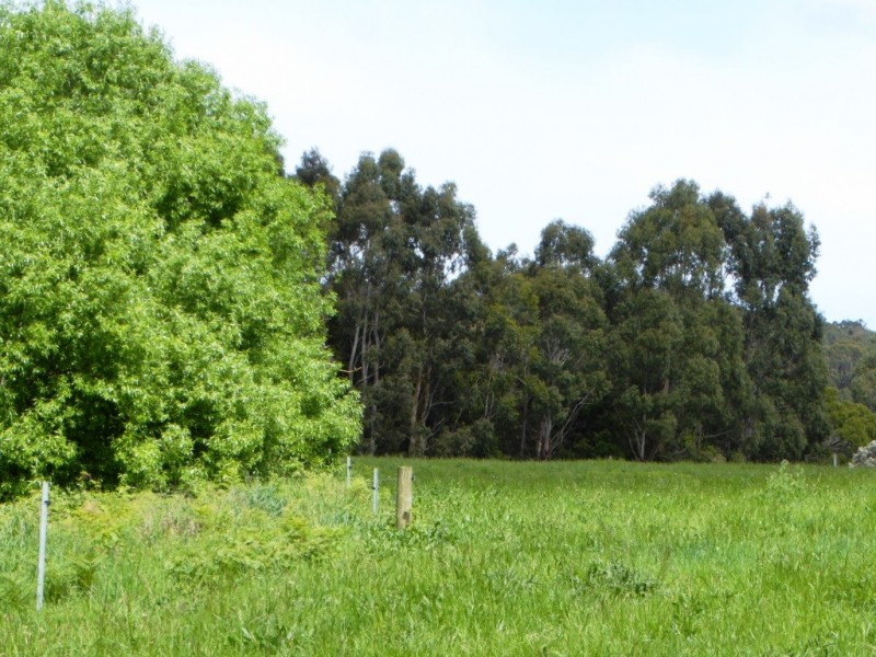 130 and 138 Rooneys Road, Panmure VIC 3265