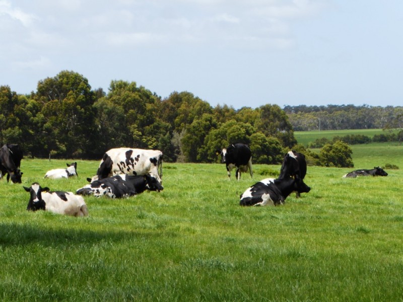 130 and 138 Rooneys Road, Panmure VIC 3265