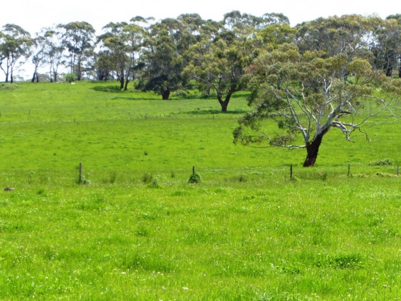 130 and 138 Rooneys Road, Panmure VIC 3265