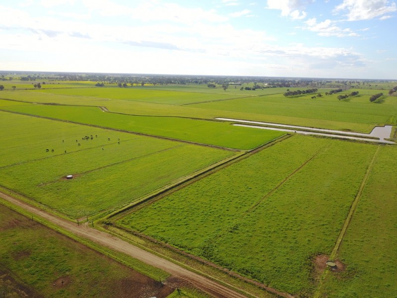 407 Waaia-Bearii Road, Waaia VIC 3637