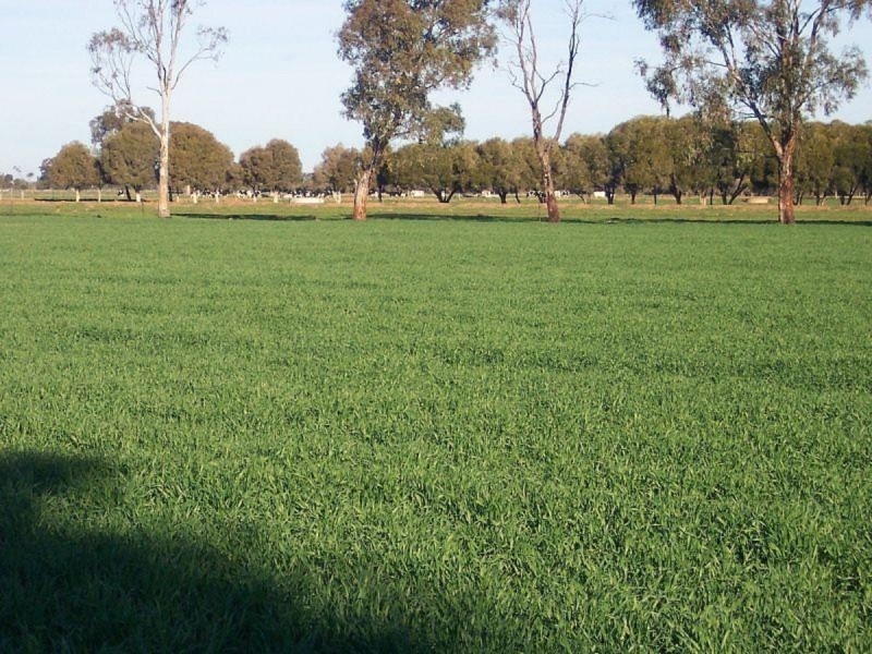 407 Waaia-Bearii Road, Waaia VIC 3637