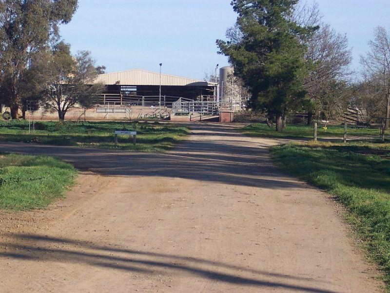 407 Waaia-Bearii Road, Waaia VIC 3637