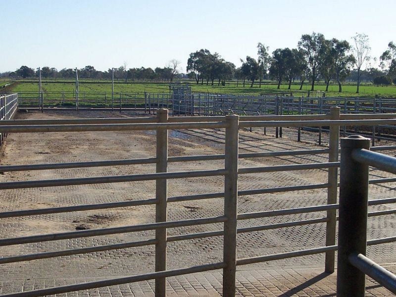 407 Waaia-Bearii Road, Waaia VIC 3637