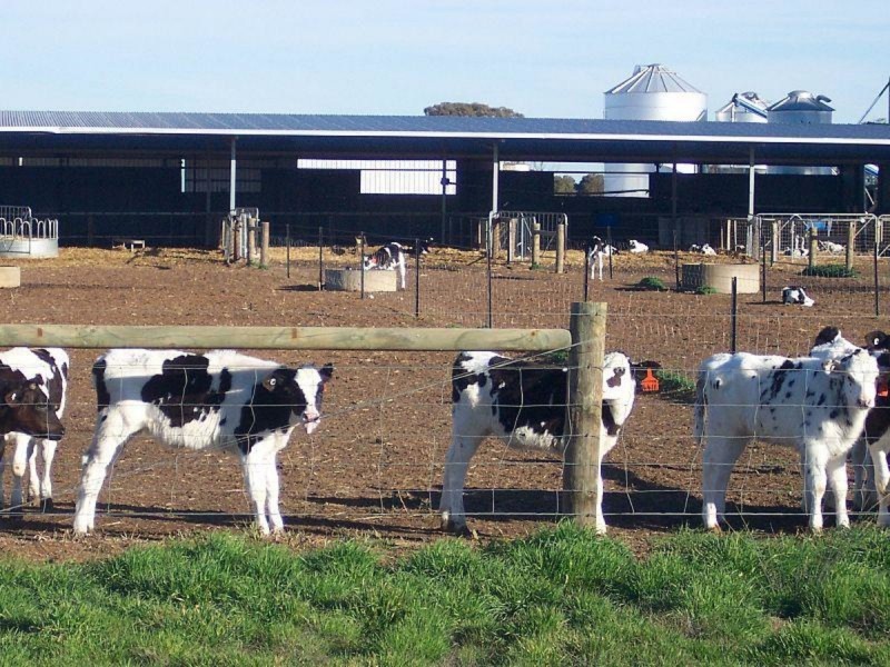 407 Waaia-Bearii Road, Waaia VIC 3637